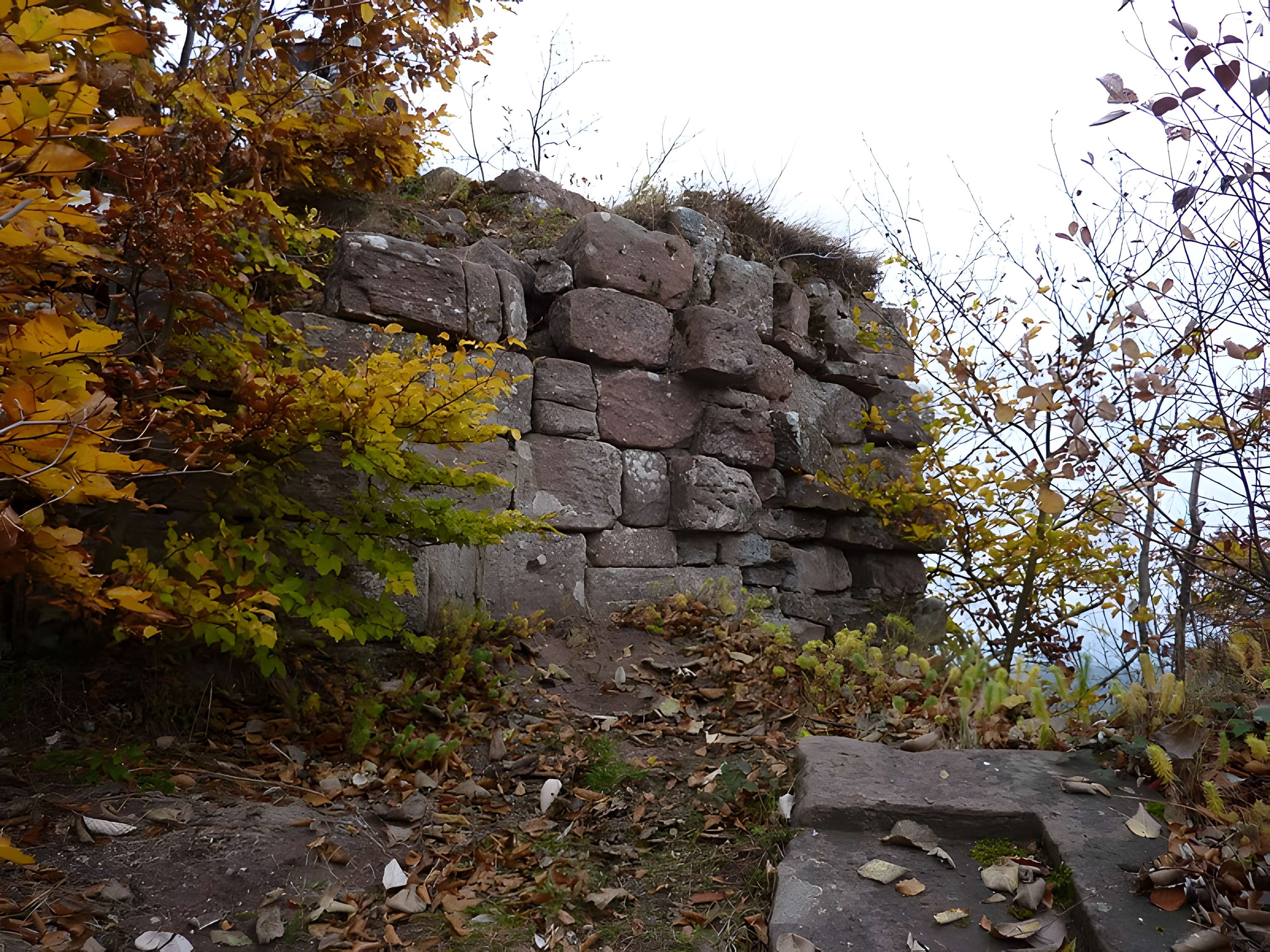 Ruines du château Ochsenstein