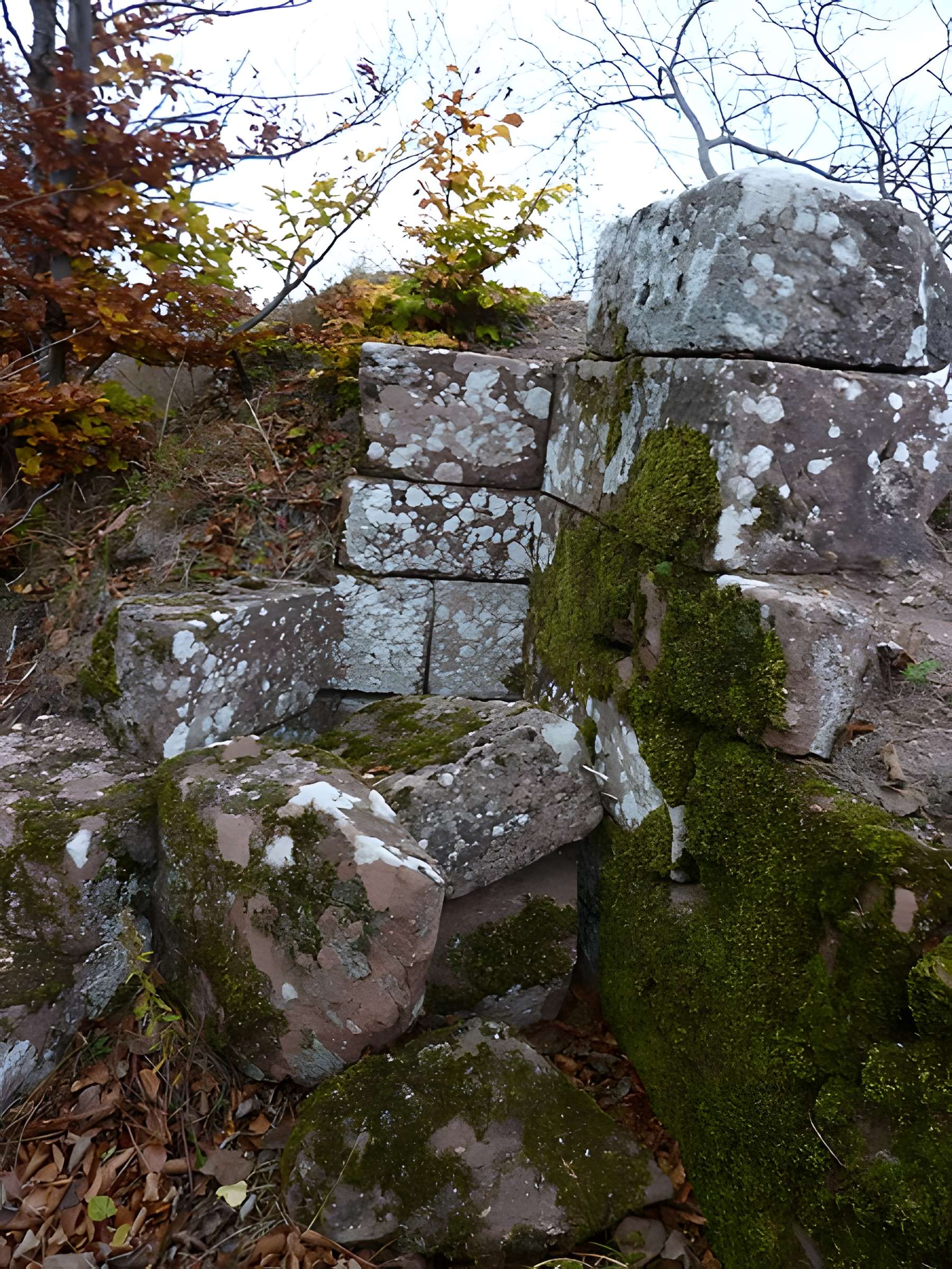 Ruines du château Ochsenstein