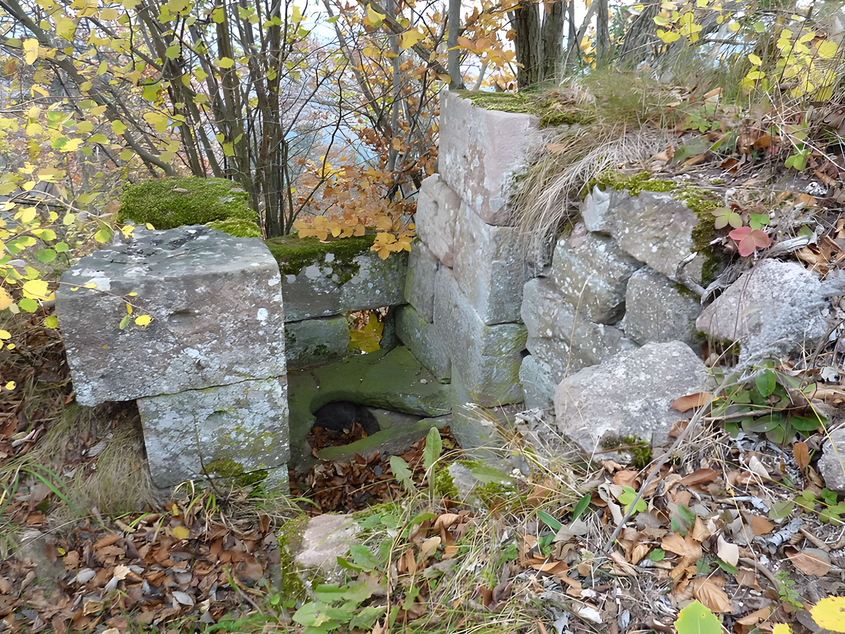 Ruines du château Ochsenstein