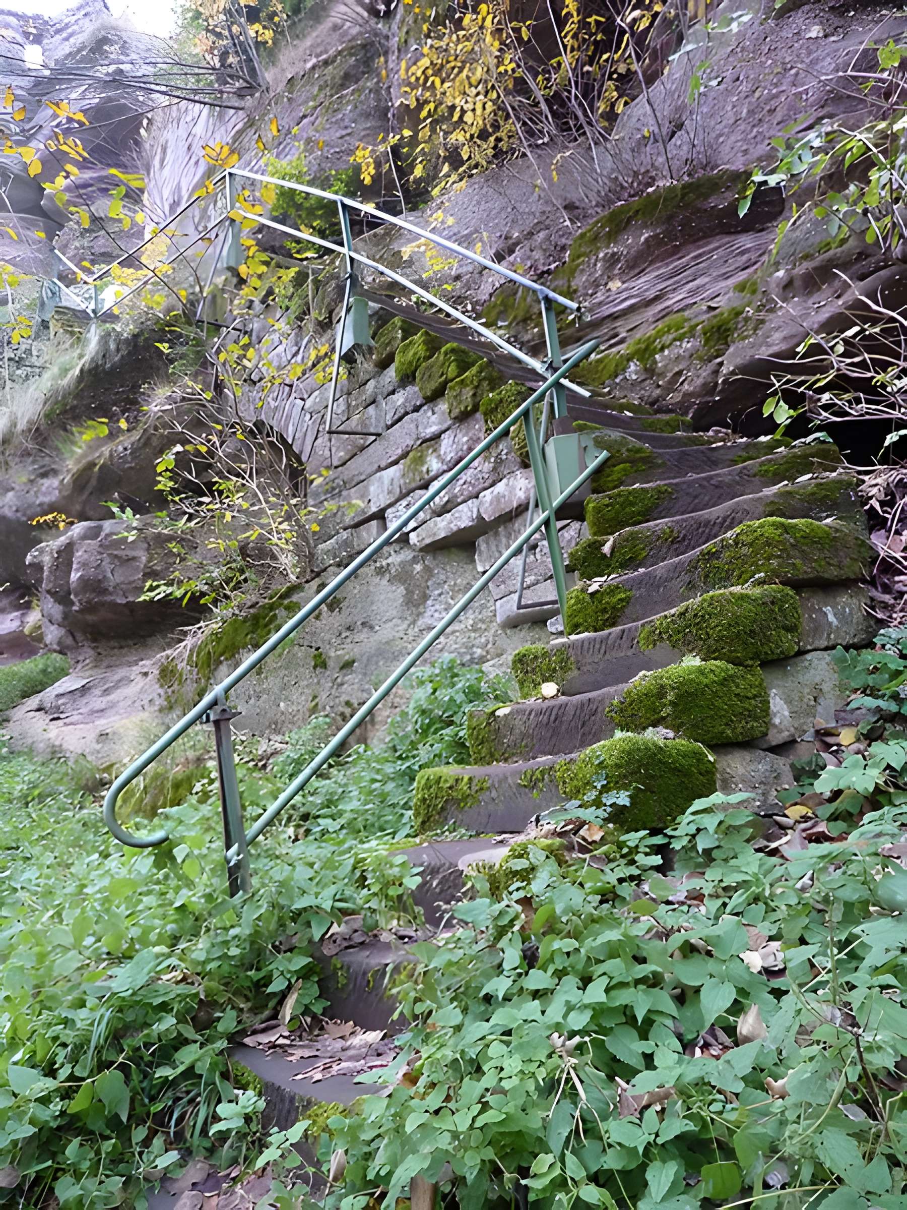 Ruines du château Ochsenstein