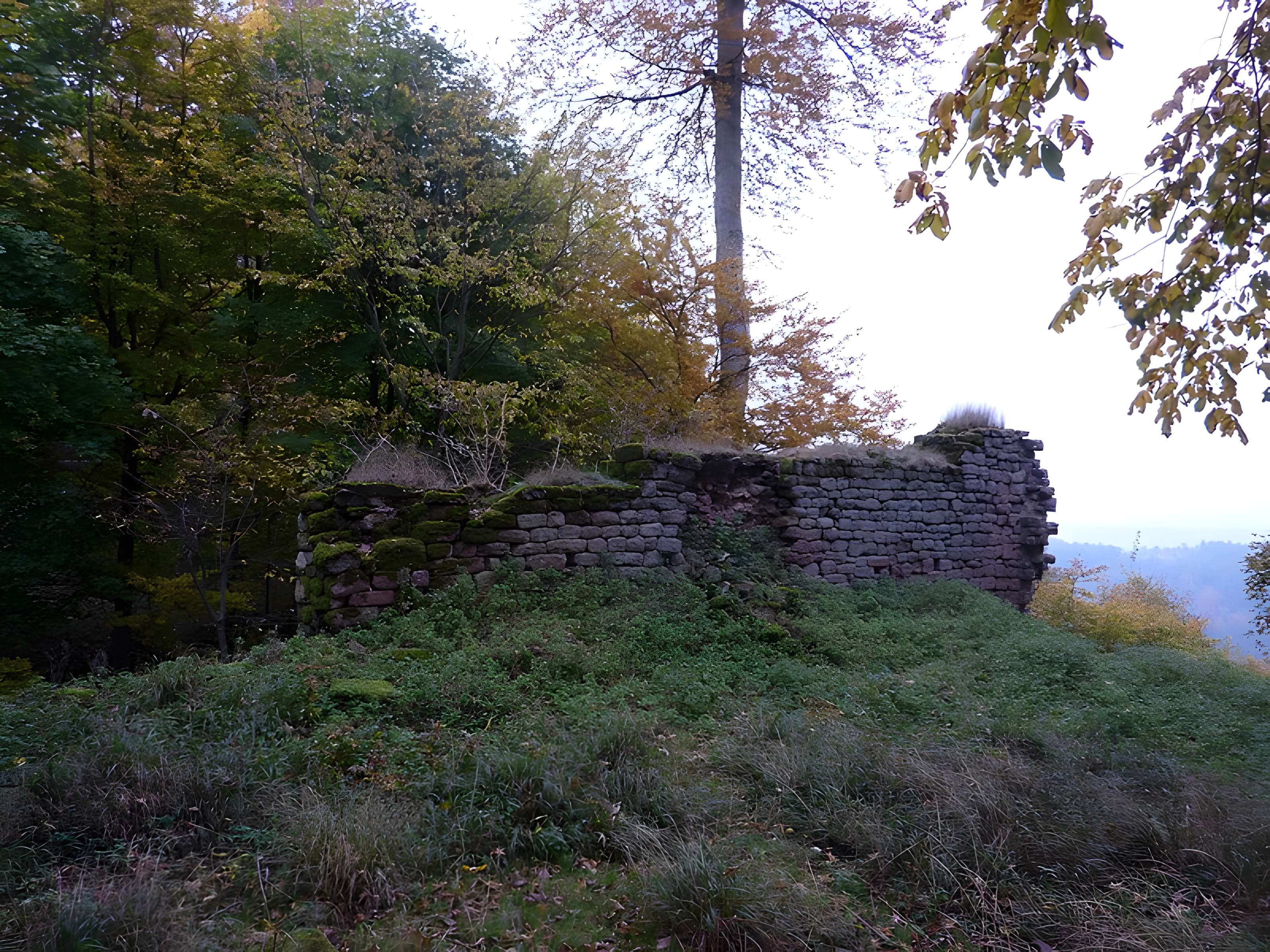 Ruines du château Ochsenstein