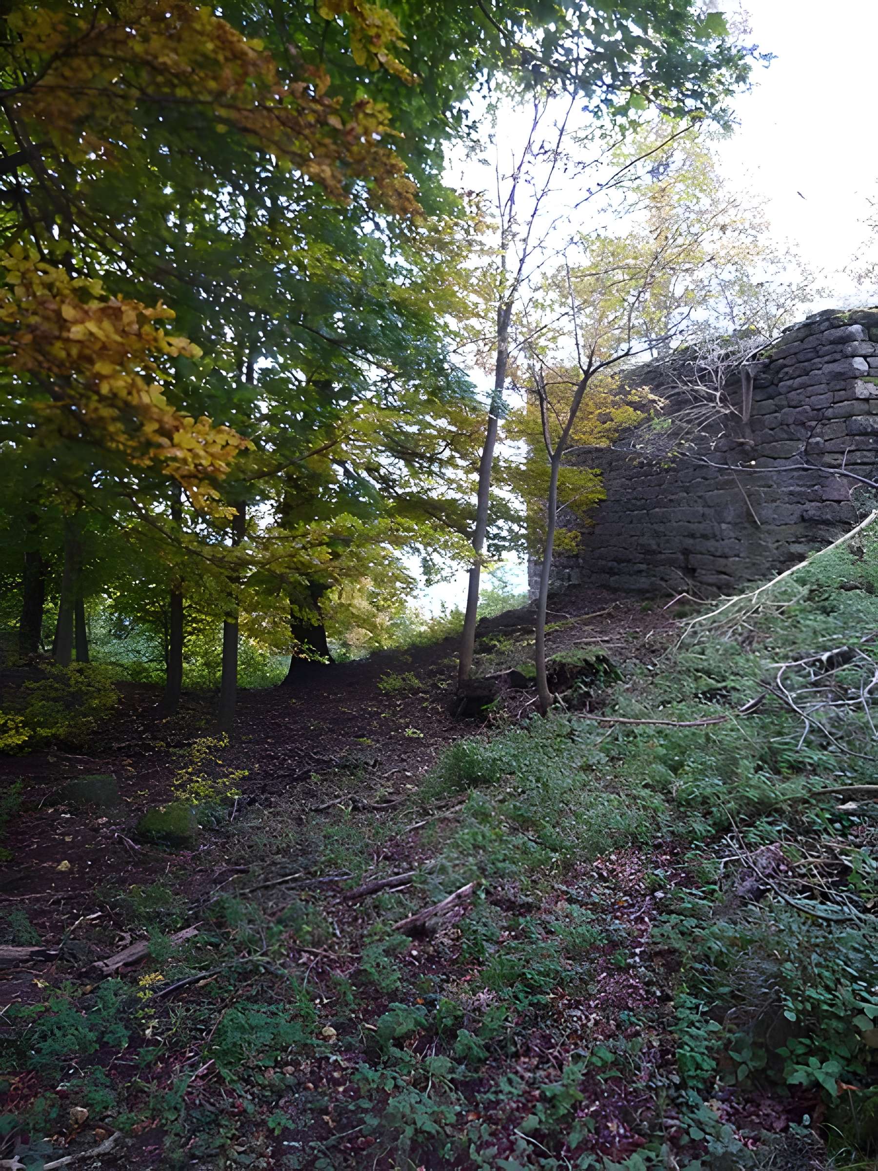Ruines du château Ochsenstein