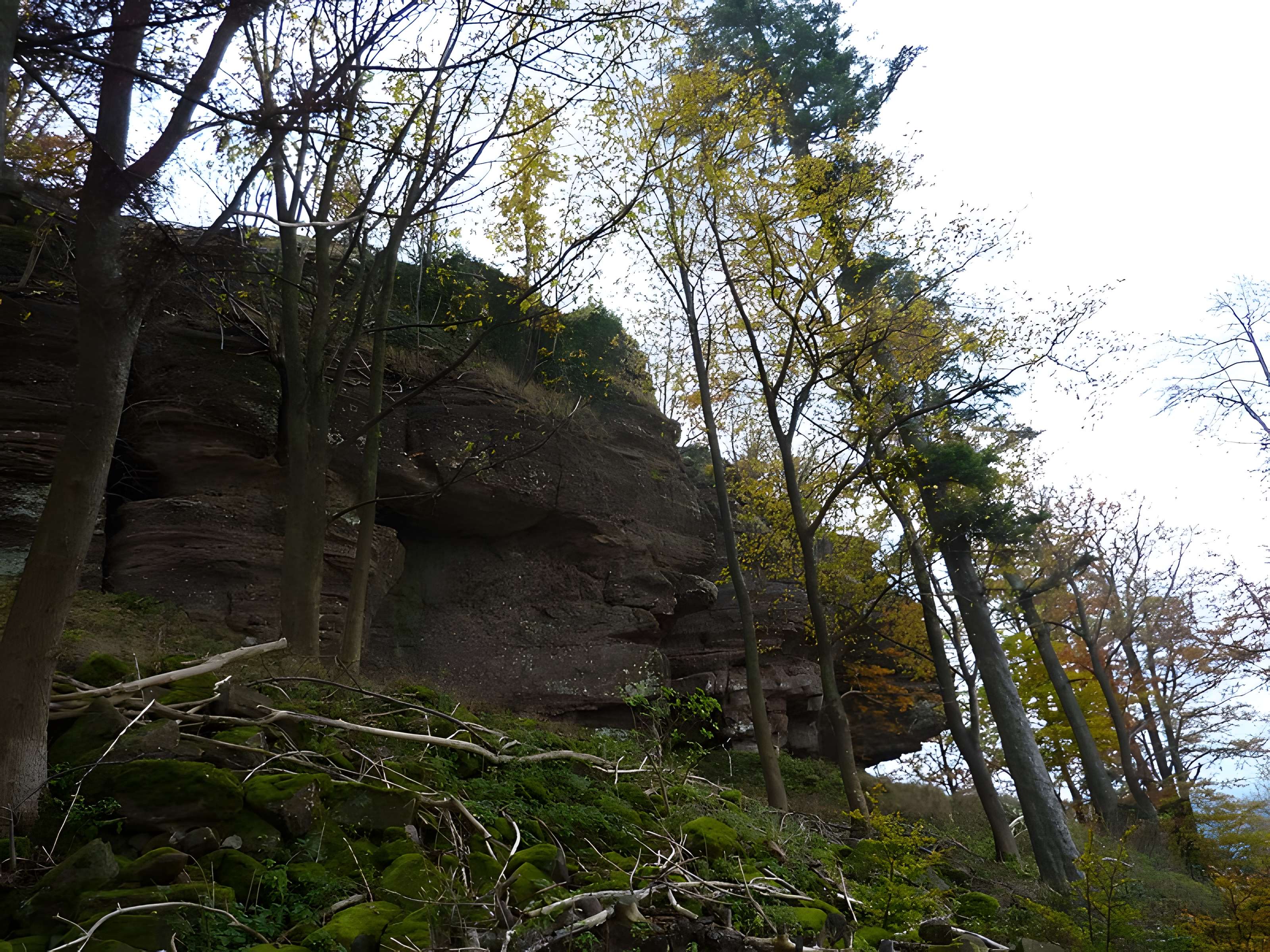 Ruines du château Ochsenstein