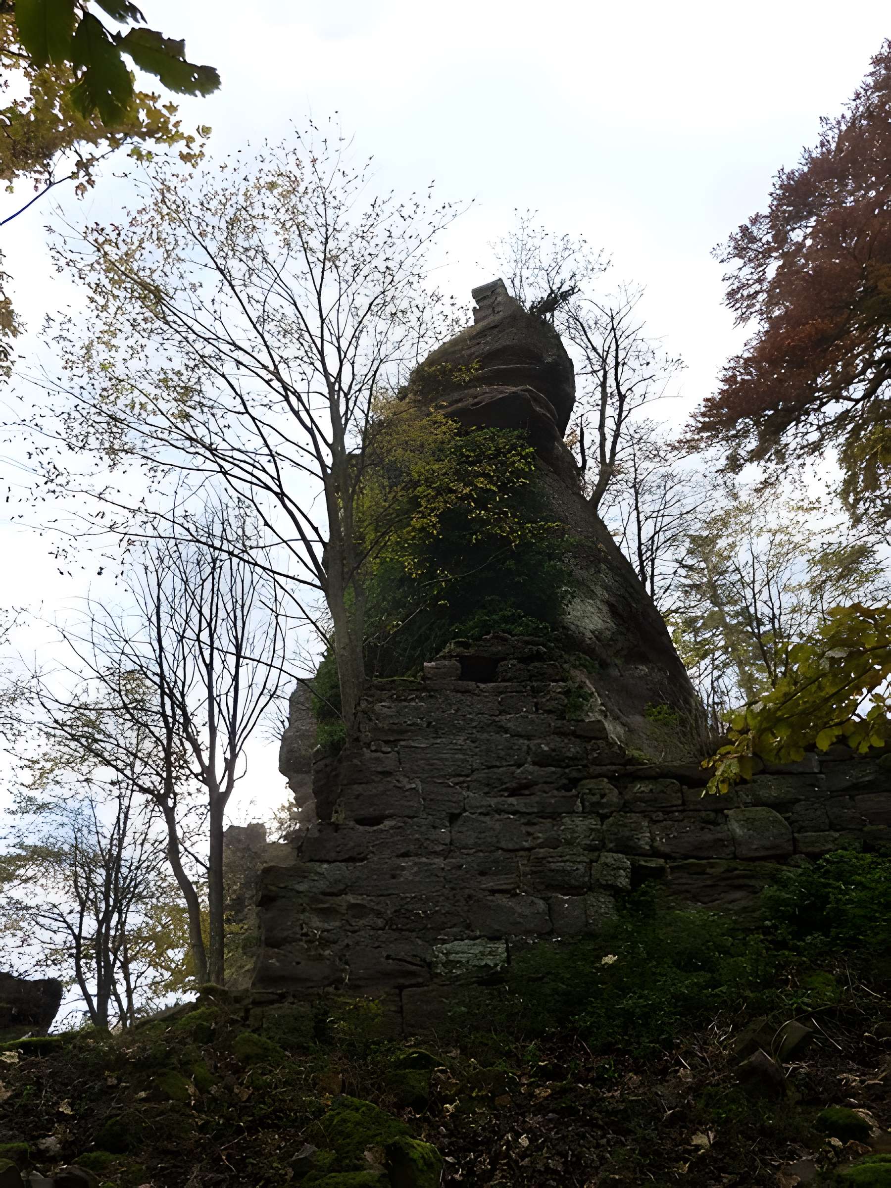 Ruines du château Ochsenstein