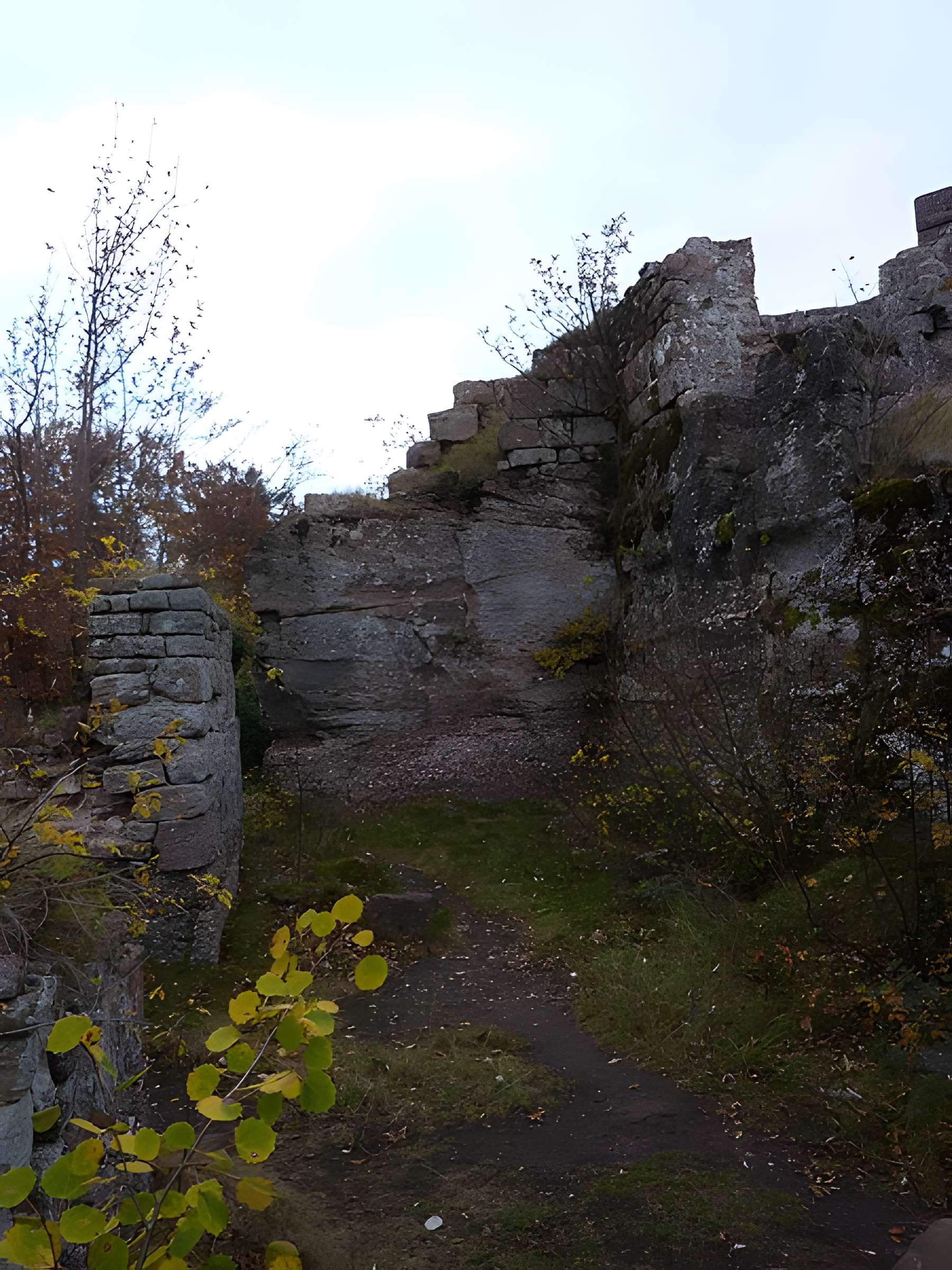 Ruines du château Ochsenstein