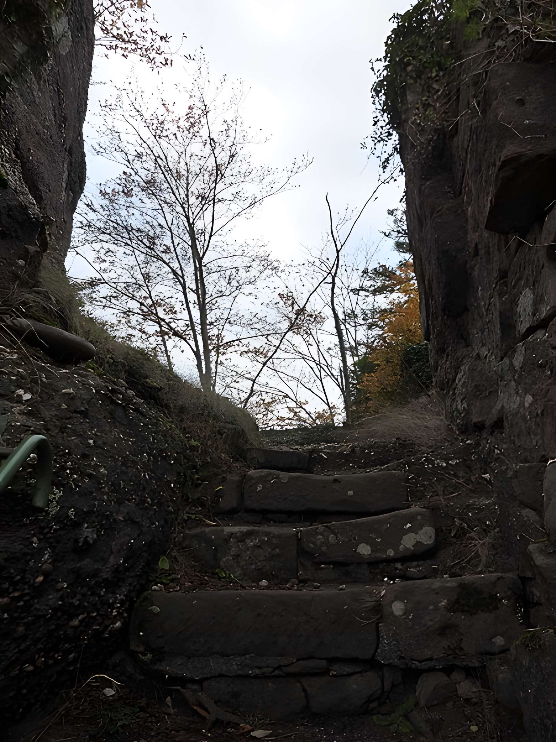 Ruines du château Ochsenstein