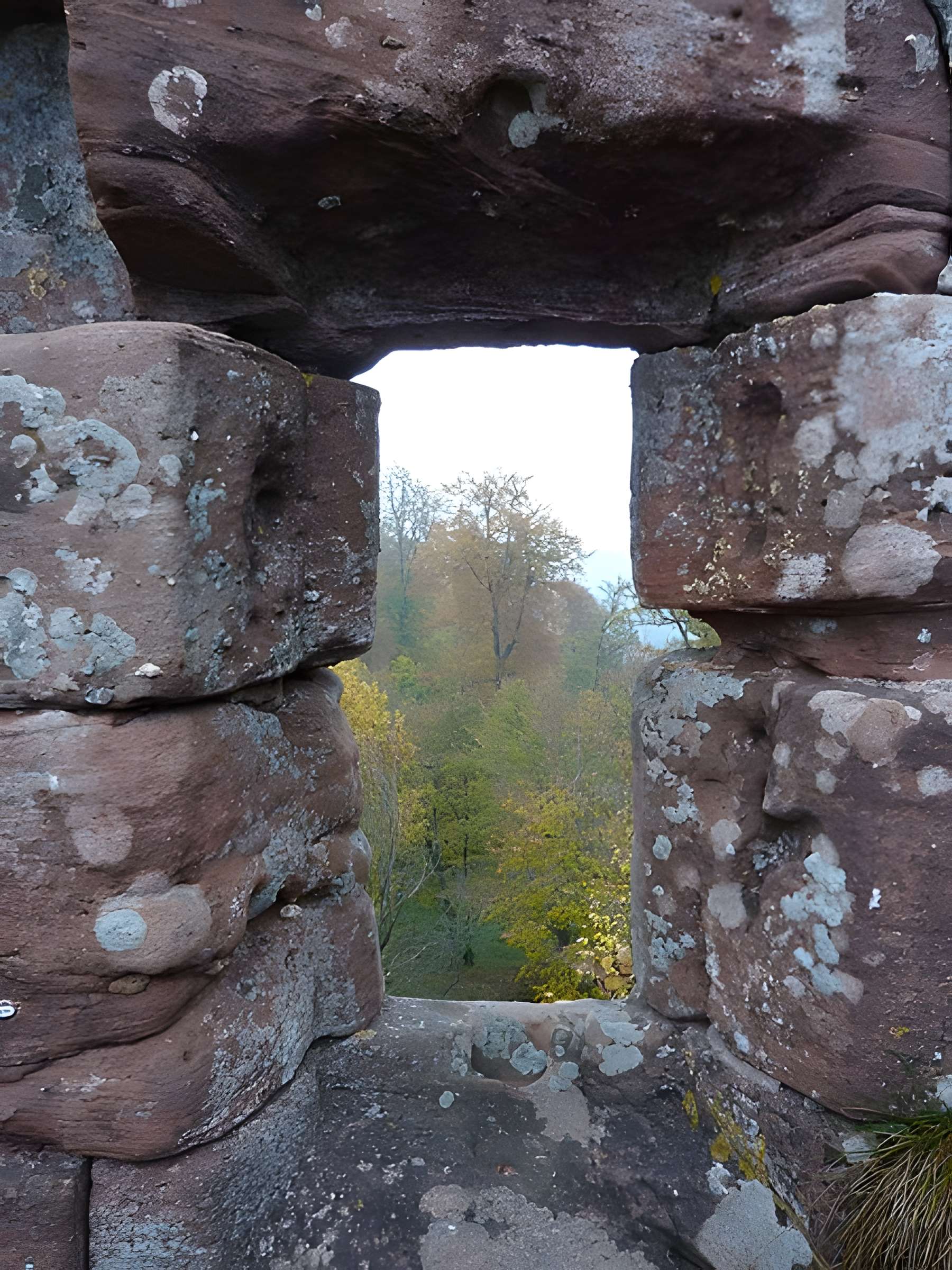 Ruines du château Ochsenstein