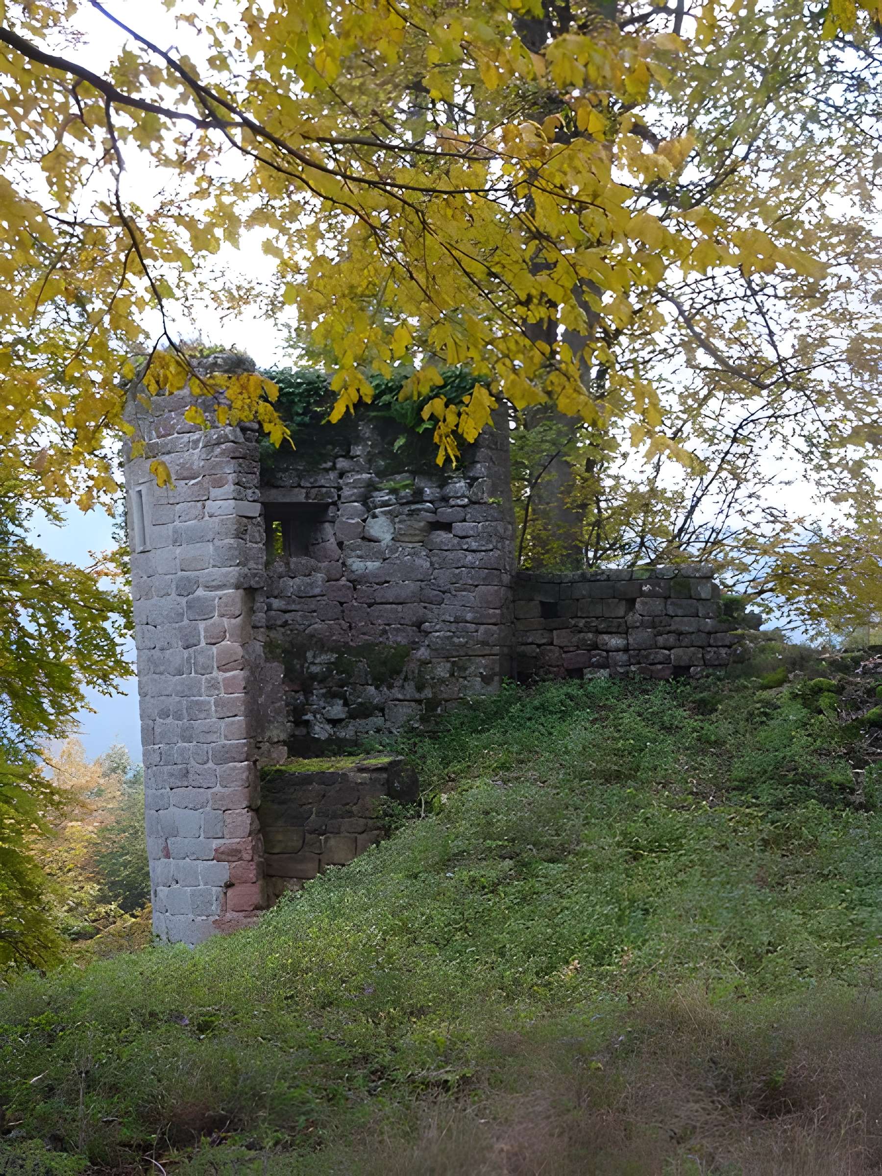 Ruines du château Ochsenstein