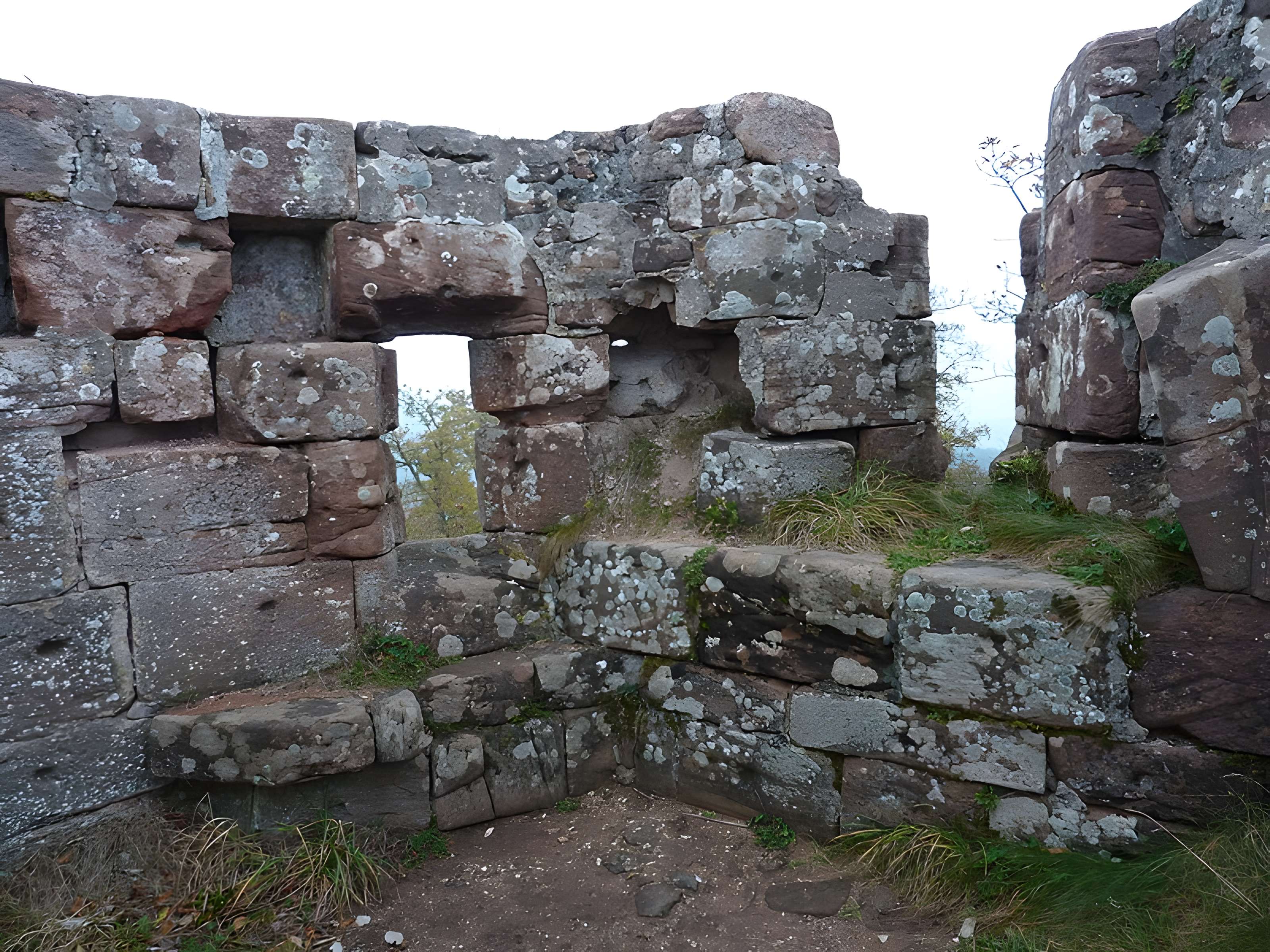 Ruines du château Ochsenstein