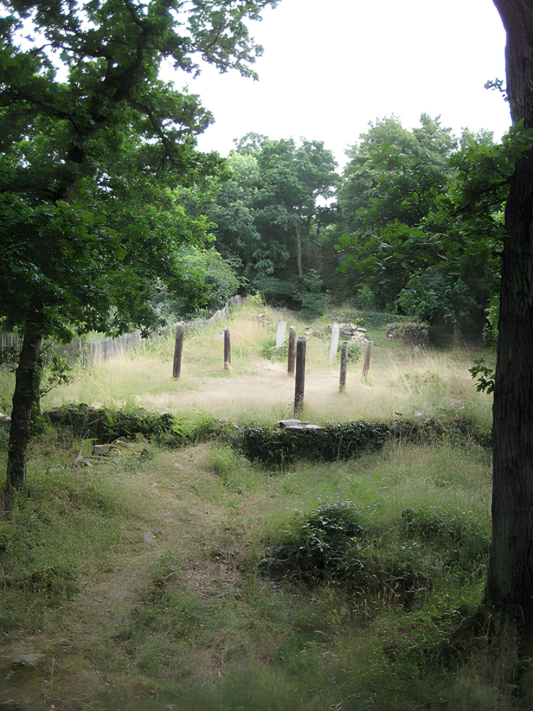 Château d'Olivet (motte féodale)