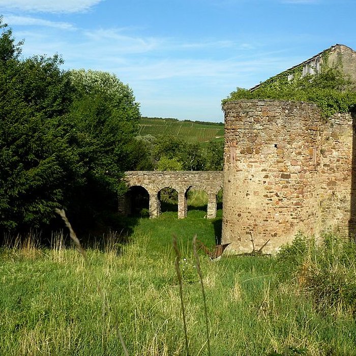 Photo de Château dOrschwihr