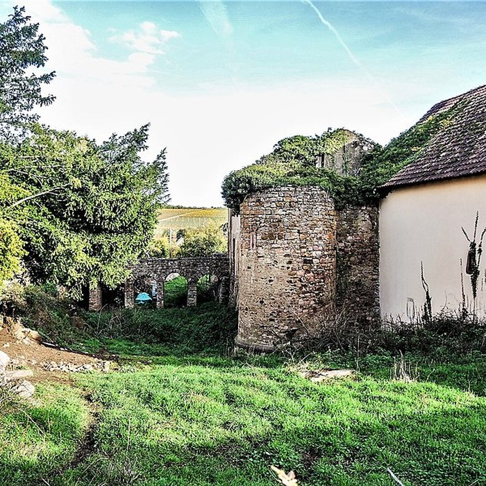 Photo de Château dOrschwihr