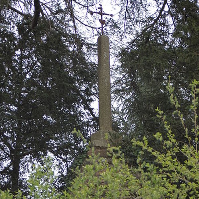 Photo de Château du Bas-Plessis