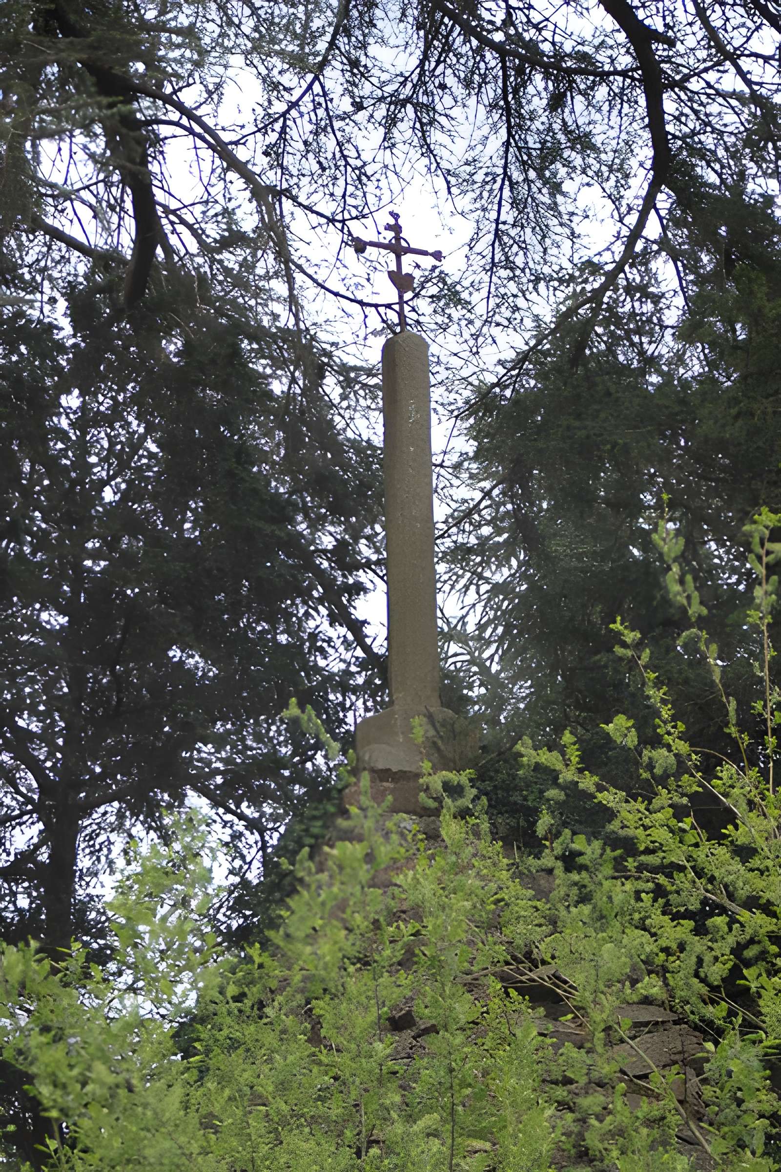Château du Bas-Plessis