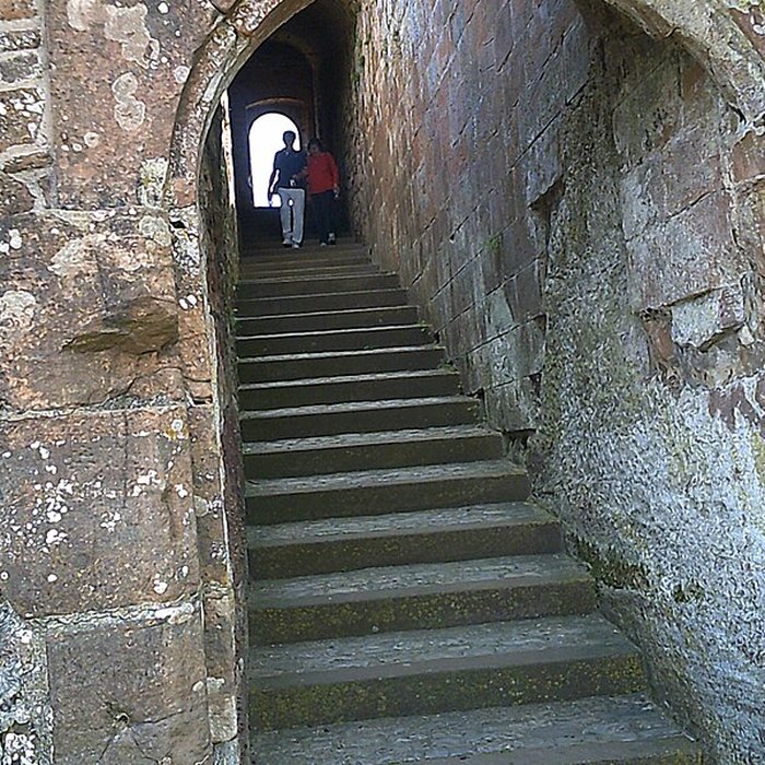 Photo de Château de Lichtenberg