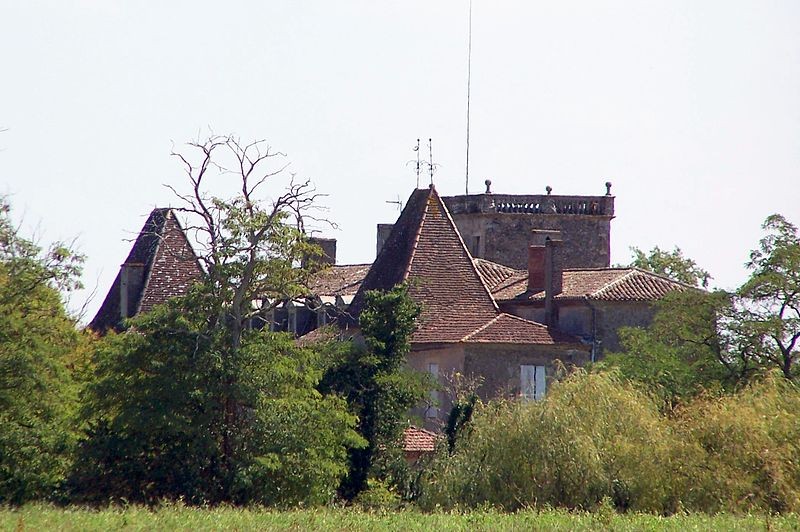 Photo de Château du Carpia