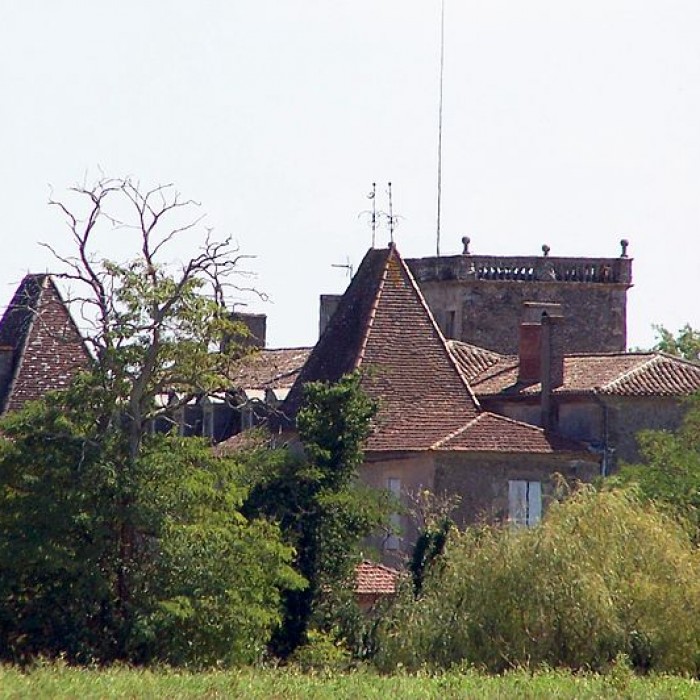 Photo de Château du Carpia