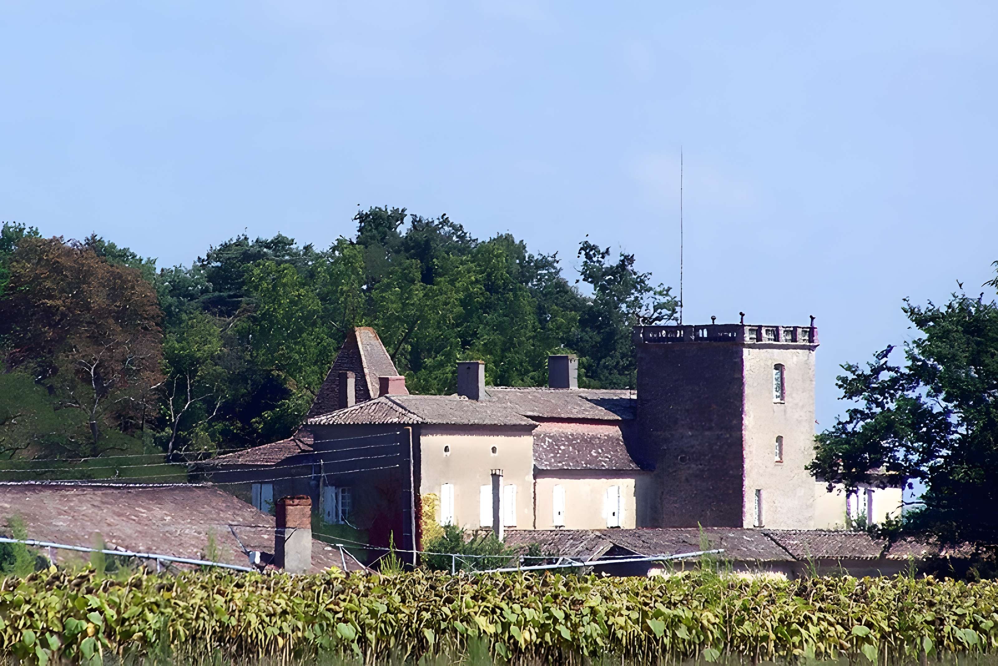 Château du Carpia