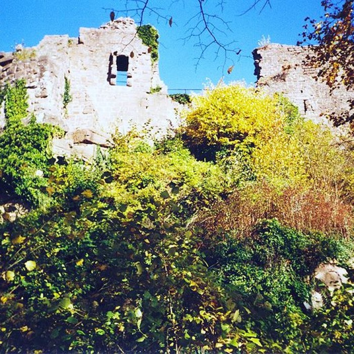 Photo de Ruines du château du Frankenbourg