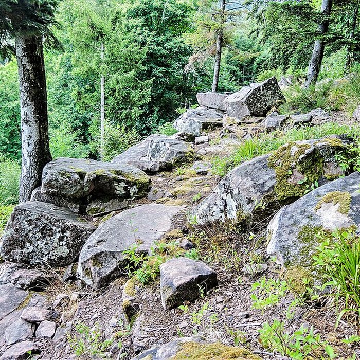 Photo de Ruines du château du Frankenbourg