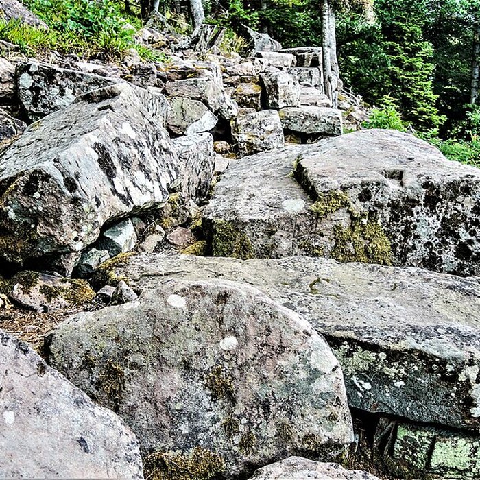 Photo de Ruines du château du Frankenbourg