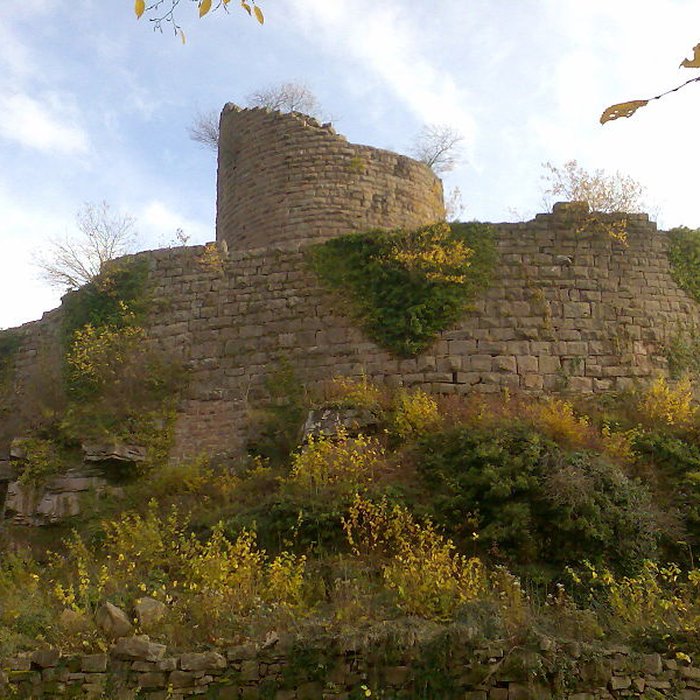 Photo de Ruines du château du Frankenbourg