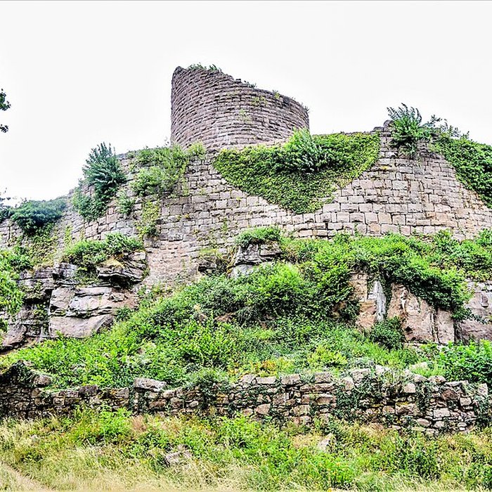 Photo de Ruines du château du Frankenbourg