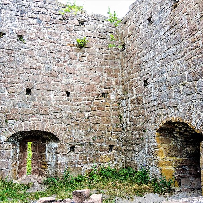Photo de Ruines du château du Frankenbourg
