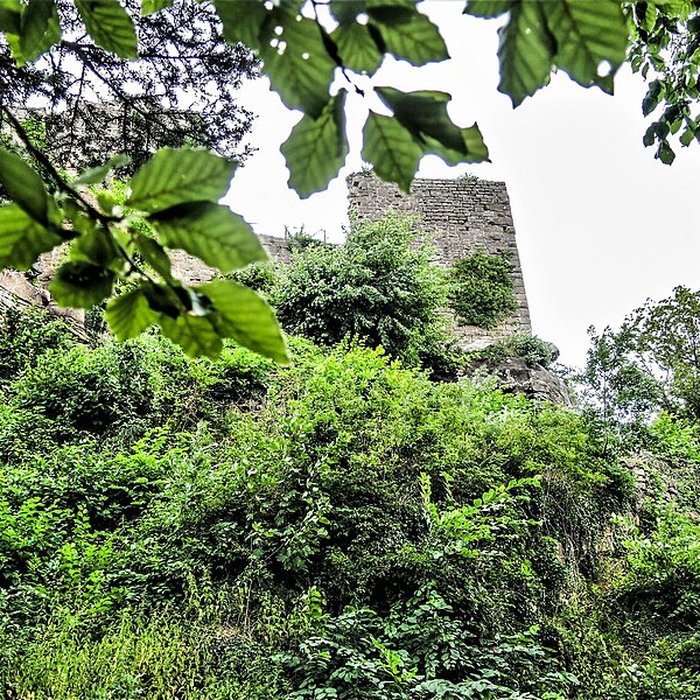 Photo de Ruines du château du Frankenbourg