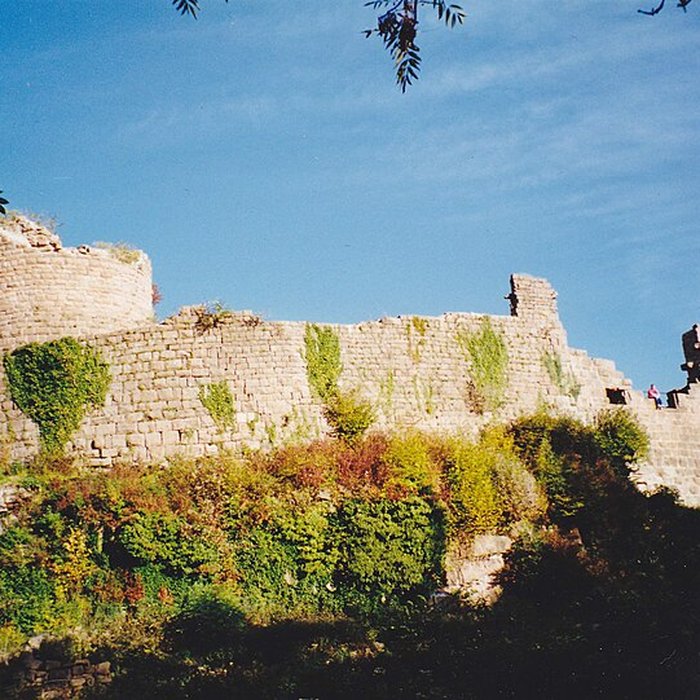 Photo de Ruines du château du Frankenbourg