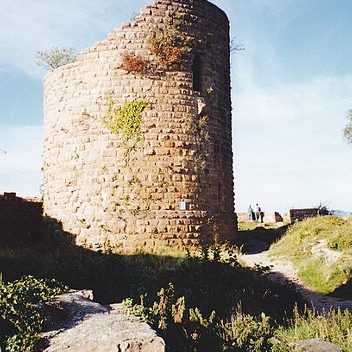 Photo de Ruines du château du Frankenbourg