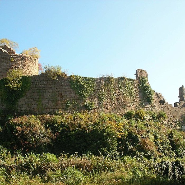 Photo de Ruines du château du Frankenbourg