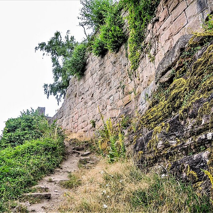 Photo de Ruines du château du Frankenbourg