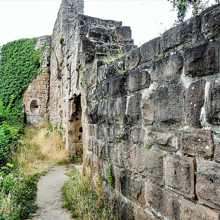 Photo de Ruines du château du Frankenbourg