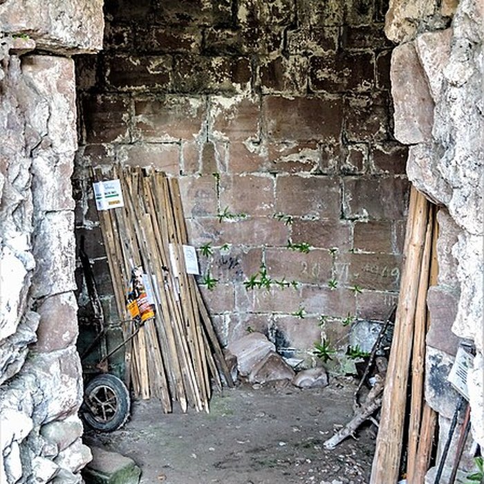 Photo de Ruines du château du Frankenbourg