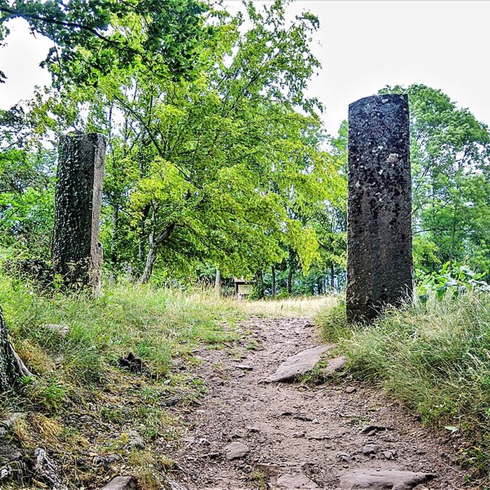 Photo de Ruines du château du Frankenbourg