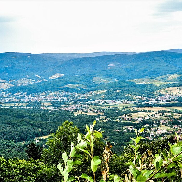 Photo de Ruines du château du Frankenbourg