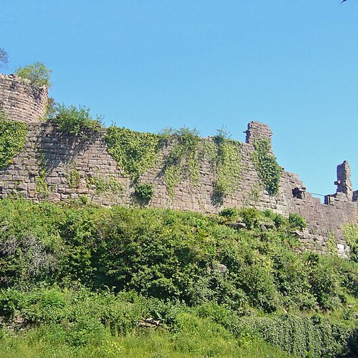 Photo de Ruines du château du Frankenbourg