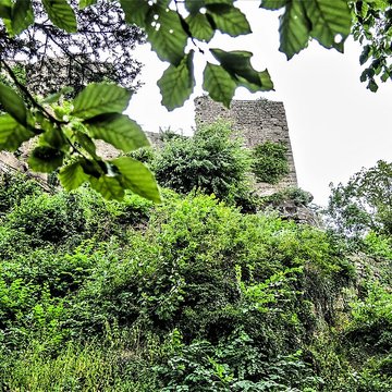 Ruines du château du Frankenbourg
