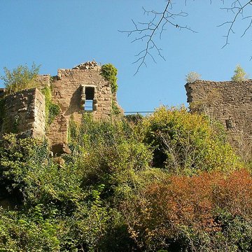 Ruines du château du Frankenbourg