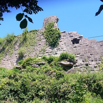 Ruines du château du Frankenbourg