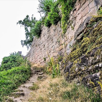 Ruines du château du Frankenbourg