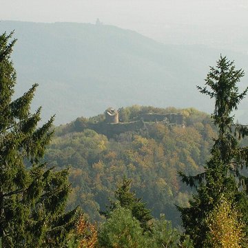 Ruines du château du Frankenbourg