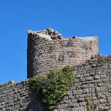 Ruines du château du Frankenbourg