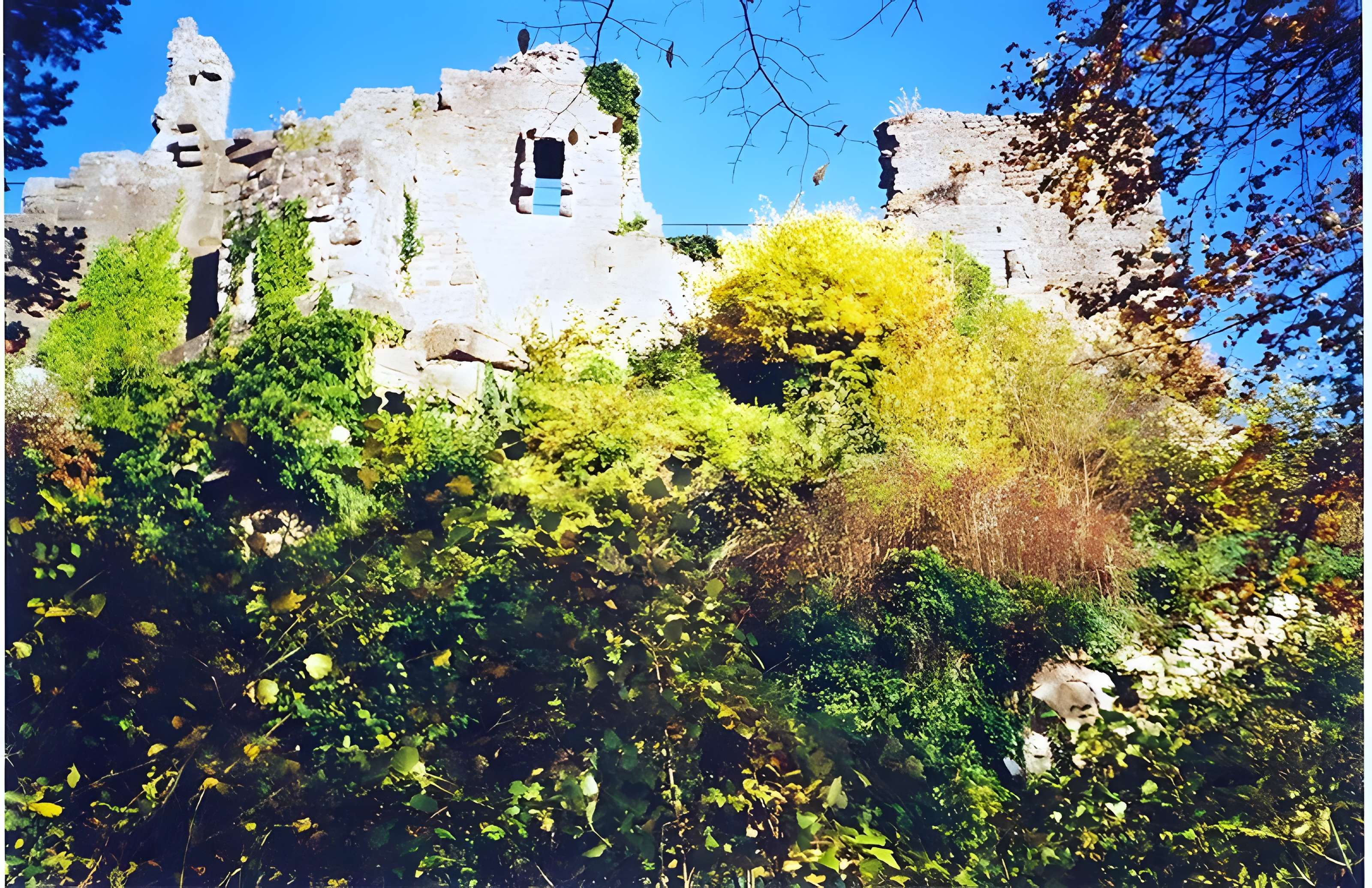 Château du Frankenbourg 
