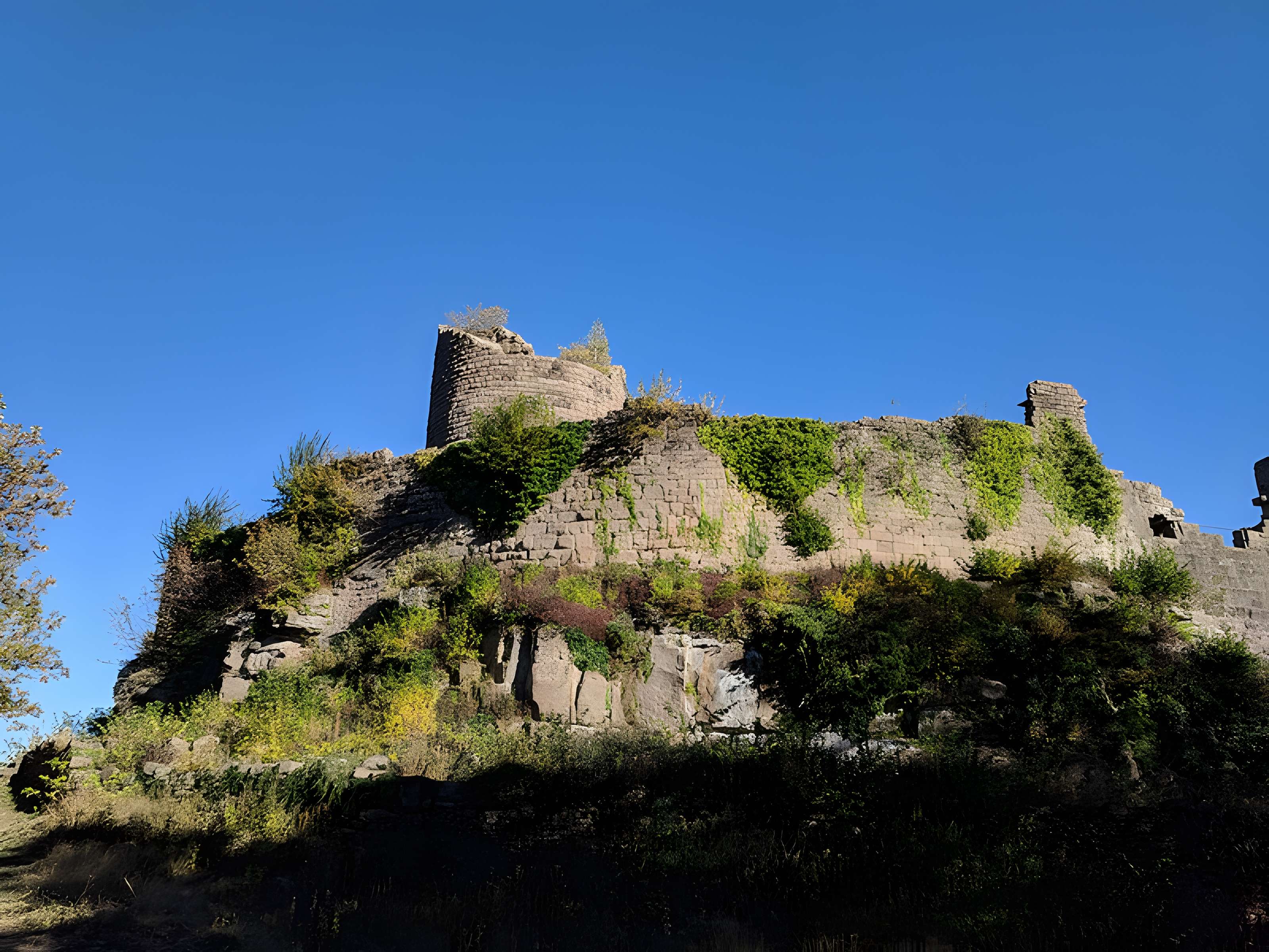 Ruines du château du Frankenbourg