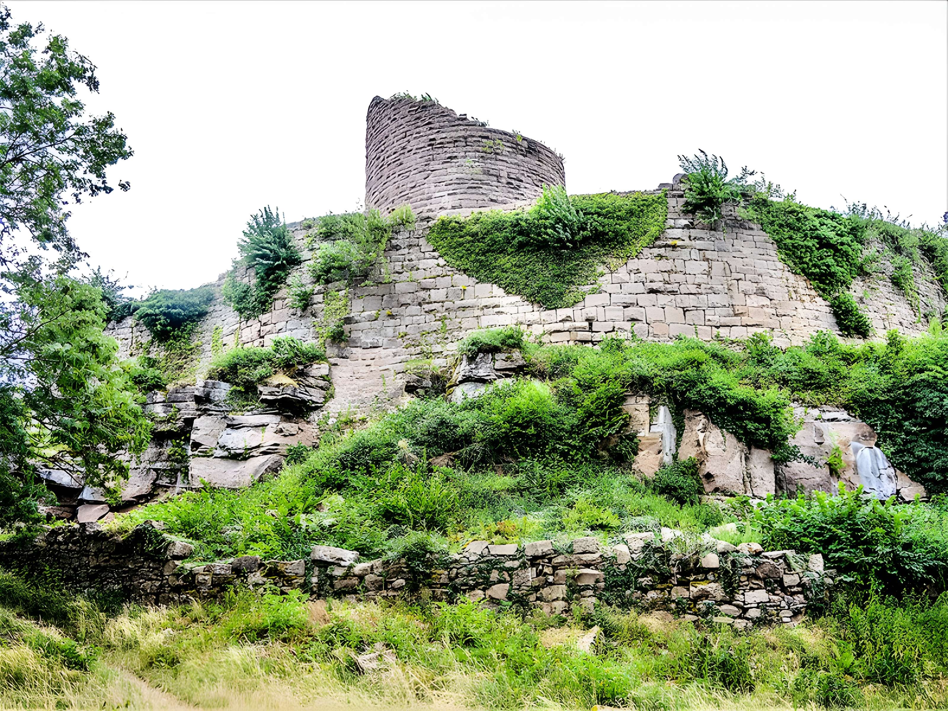 Ruines du château du Frankenbourg