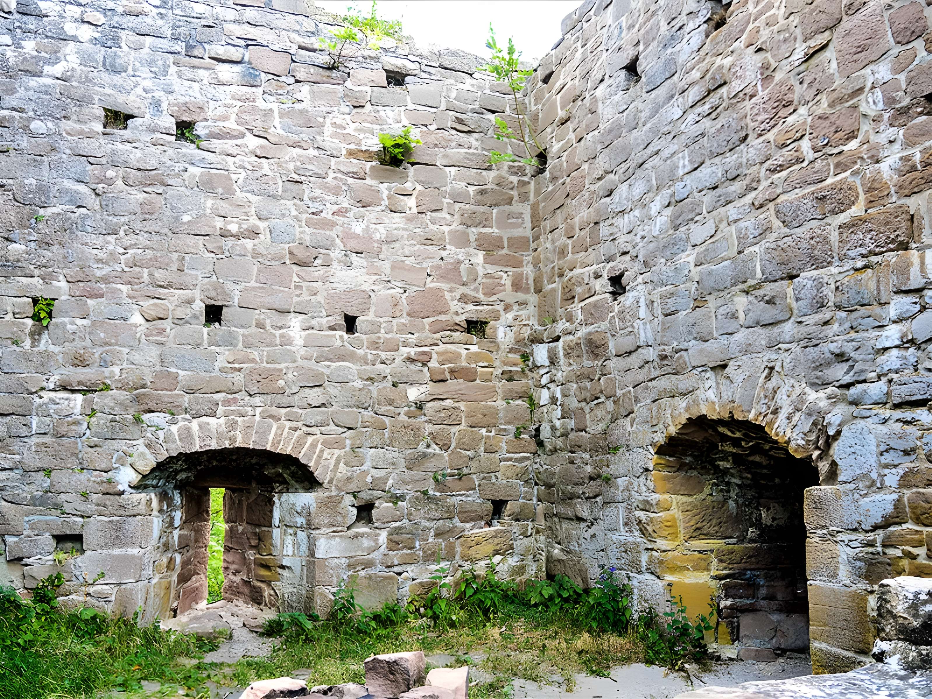 Ruines du château du Frankenbourg