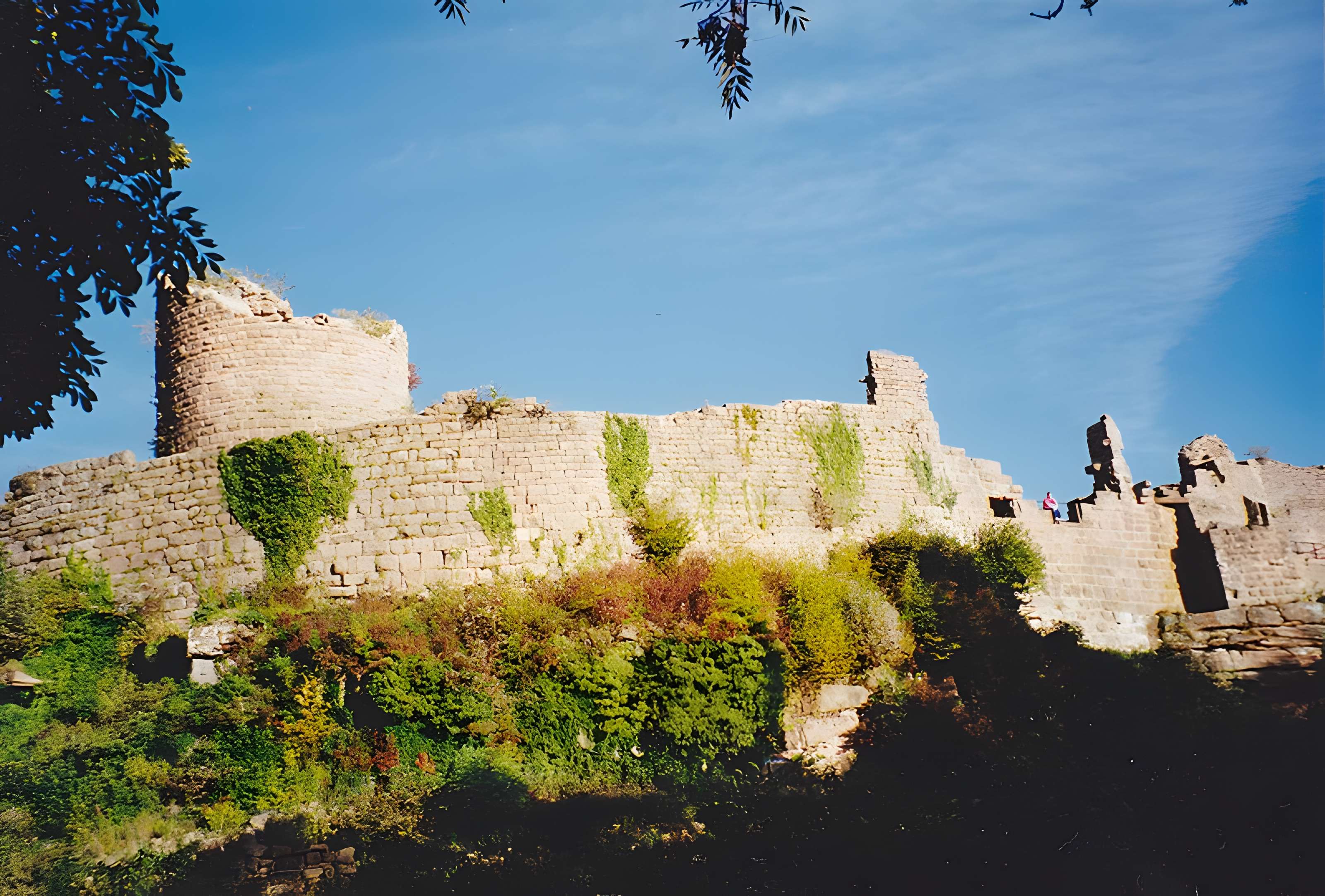 Ruines du château du Frankenbourg