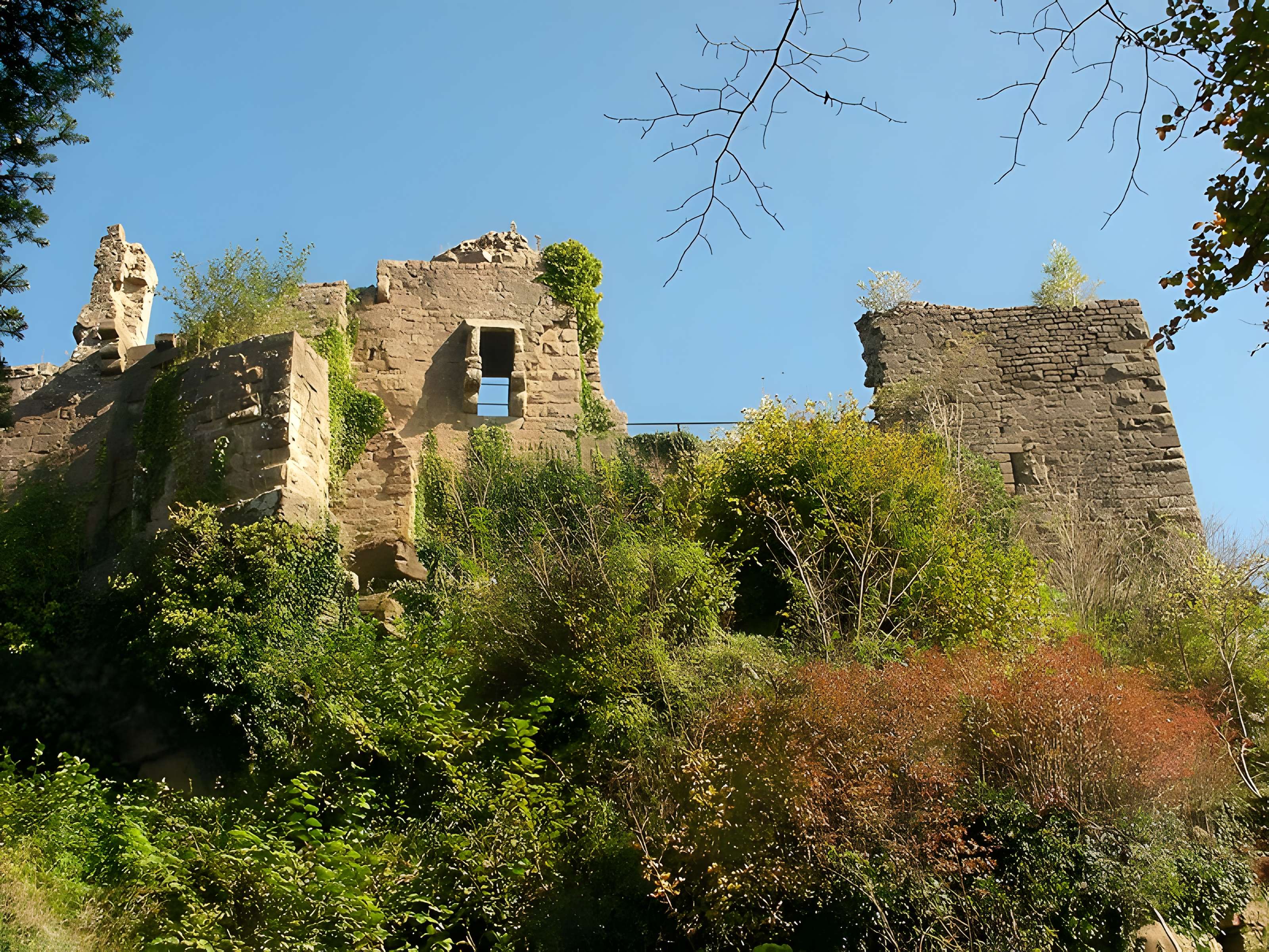 Ruines du château du Frankenbourg